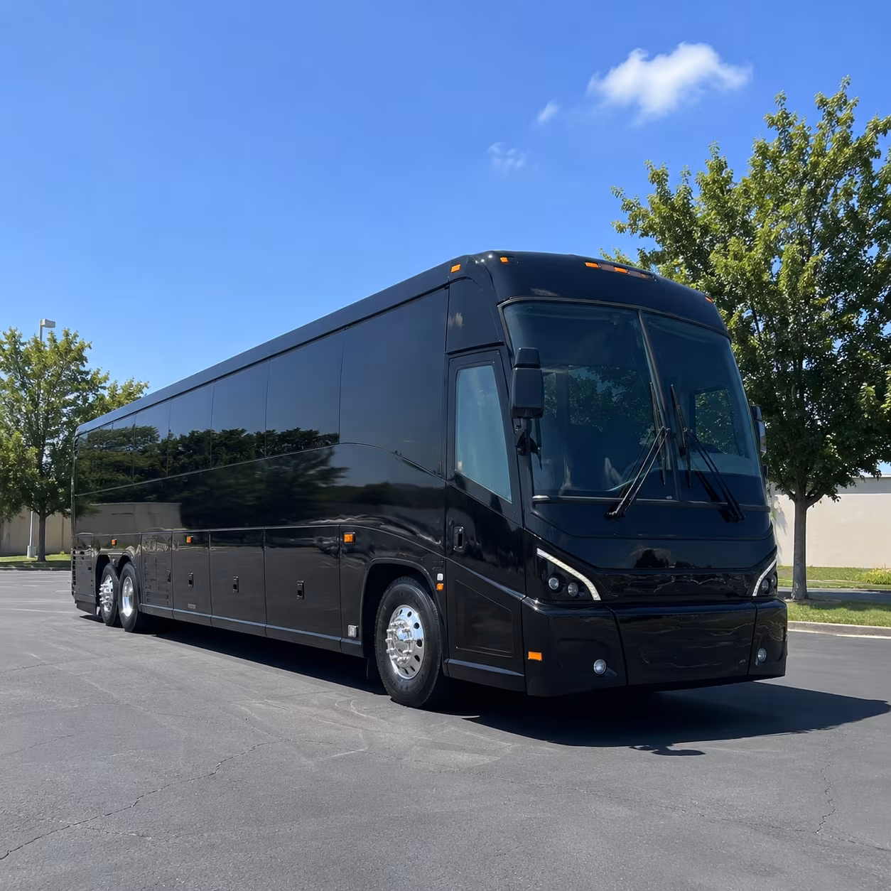 that s one bus for casino trips to mgm springfield encore foxwoods and more
